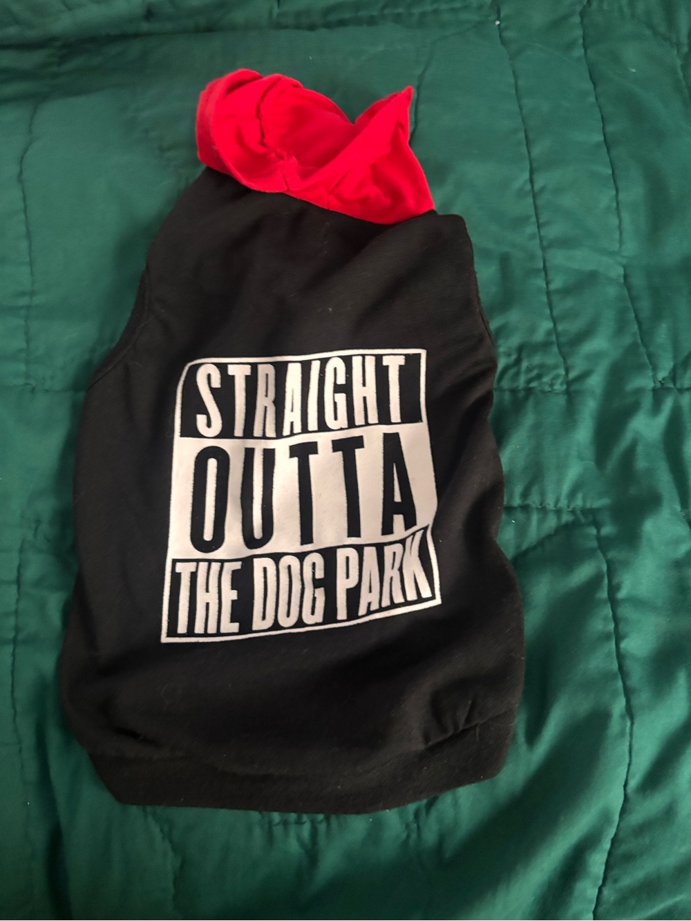 Dog Hoodie "Straight Outta The Dog Park" - Black with Red Hood